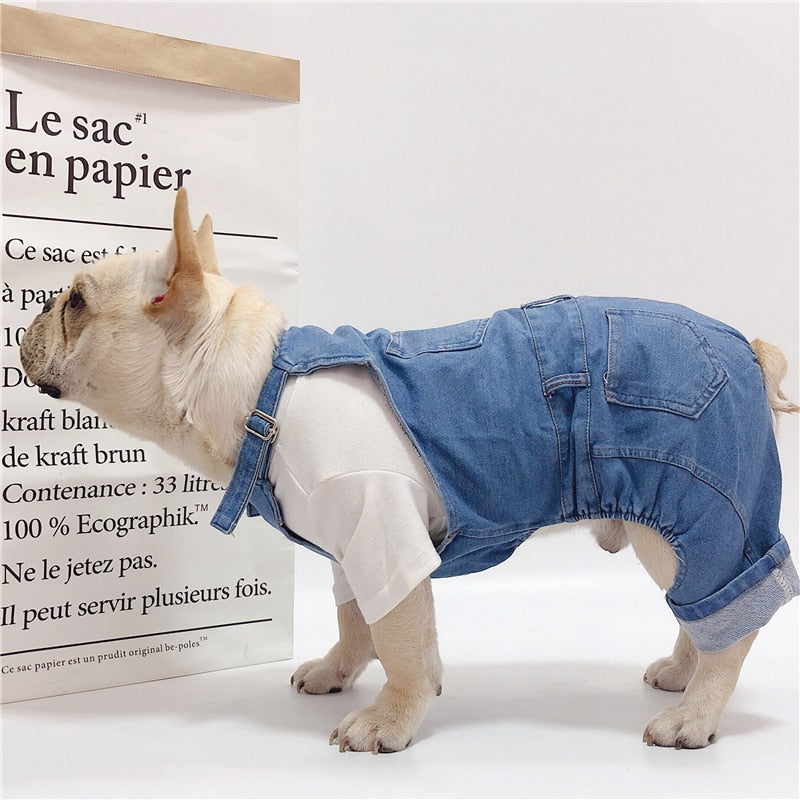 pet cloth with overall jeans and shirt