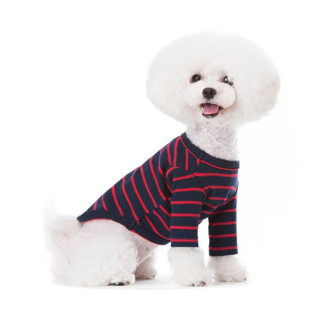 pet cloth with overall jeans and shirt