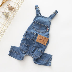 pet cloth with overall jeans and shirt