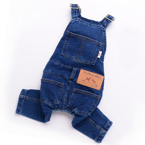 pet cloth with overall jeans and shirt